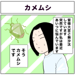 カメムシ