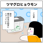 ツマグロヒョウモン